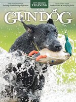 Gun Dog